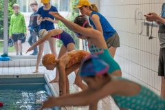 SSF_2019_1-08-D700_2019_5446