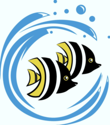 Schnellster Schwerzenbacher Fisch 2026, Samstag 06. Juni